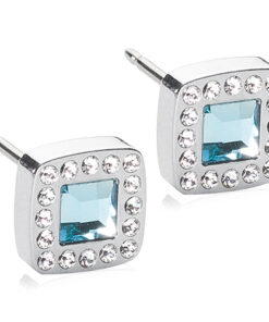 Silver Titanium 8mm Brilliance Cushion Crystal Earrings