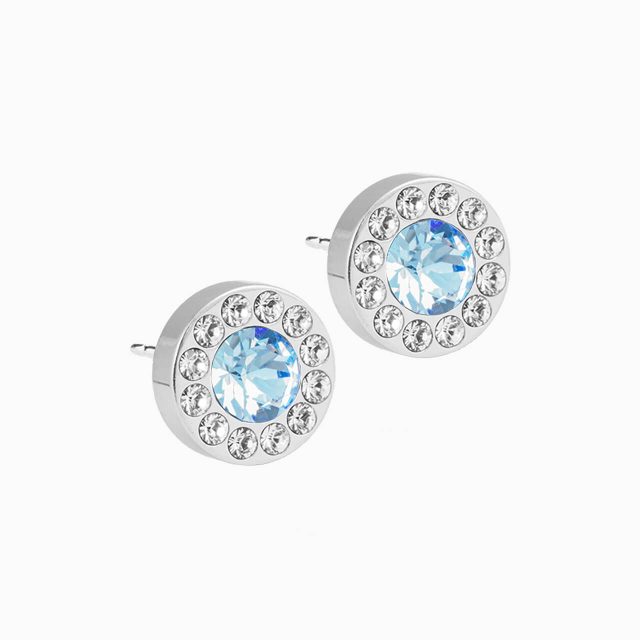 Silver Titanium Brilliance Halo Earrings