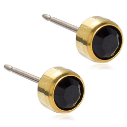 Golden Titanium Bezel Black Earrings