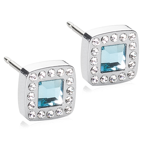 Silver Titanium 8mm Brilliance Cushion Crystal Earrings