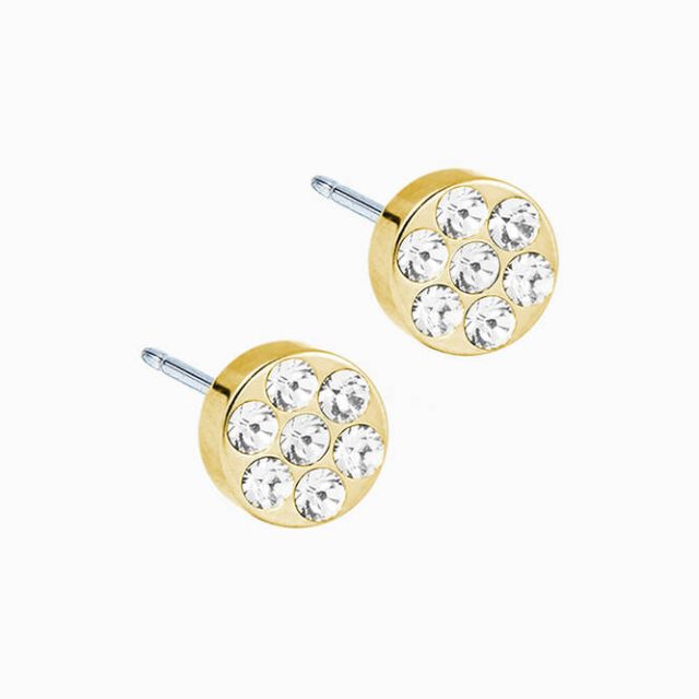 Golden Titanium 5mm Brilliance Plenary Crystal Earrings